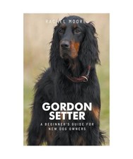 Raising a Gordon Setter as a
