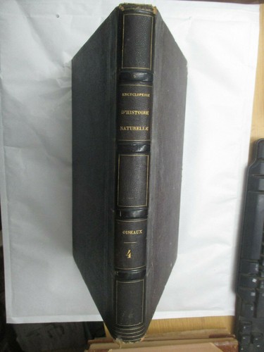 Chenu encyclopédie - chenu, "encyclopédie