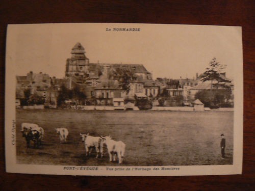 Cpa pont eveque vue - 14, l'eveque