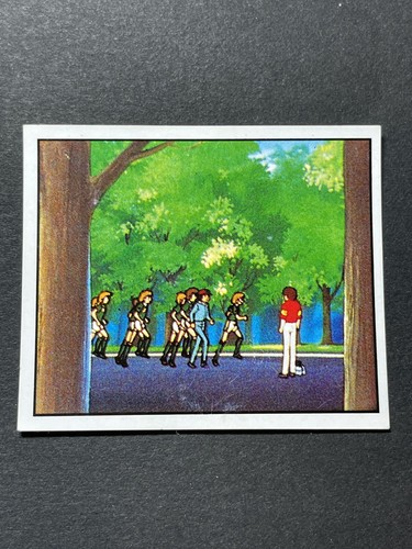 Carte panini olive - panini, tom