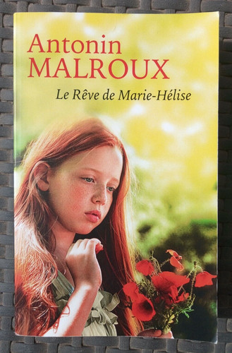 Livre roman terroir le rêve - livre,