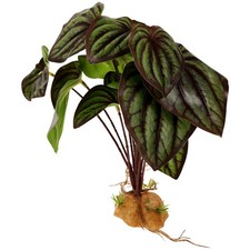  Plantes artificielles pour