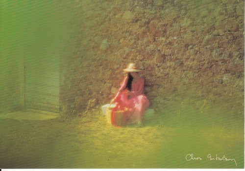 Carte postale chris nikolson - postale,