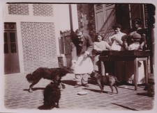 Émile ZOLA, Photographie