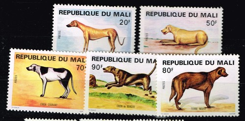 Mali dogs set - dogs, 5
