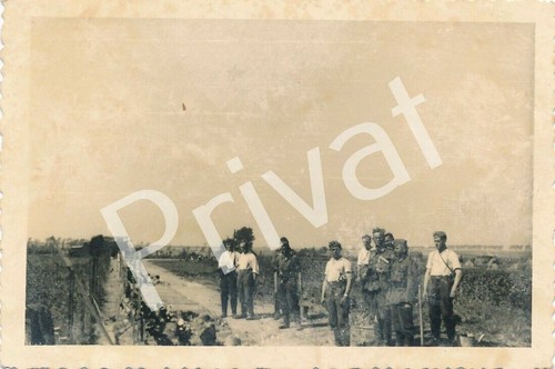 Photo leutnant hellinger - leutnant,