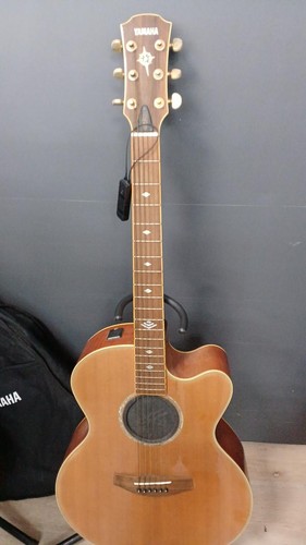 Guitare acoustique électrique