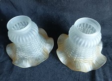 Paire de tulipes en verre