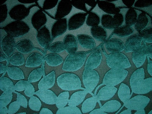 Paon signature peluche velours - signature,
