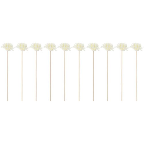 Pcs bâtonnets diffuseur - pcs,