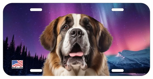 Saint bernard face dog - bernard,