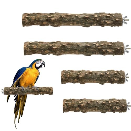 Pièces perchoir perroquet - pièces,