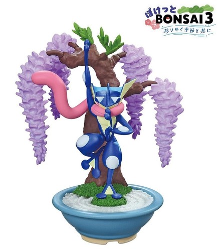 Ment pokemon pocket bonsai - pocket,