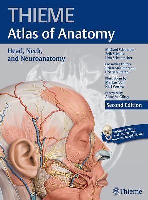 Head neck and - head,, neck,