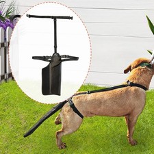 Protège-queue pour chien