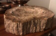 Magnifique cendrier Bois fossilisé/silicifié (Brésil) 21cmx16x5 poids: 3,210 Kg