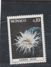 L7124 MONACO, timbre N° Y&T 1254  de 1980 " Anemonia sulcata " Neuf **