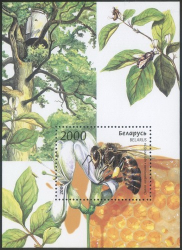 Belarus 2004 mnh - belarus,
