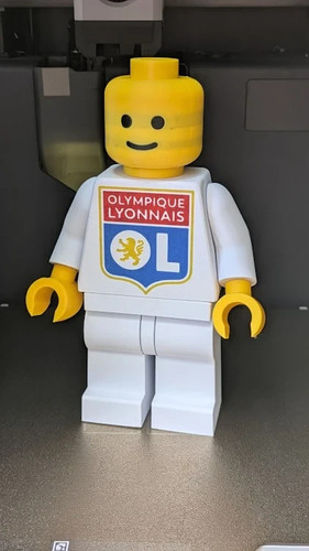 Figurine briques olympique - briques,