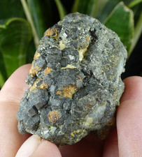 Pyrite & Galène Pontgibaud 4.5x3cm Puy de Dôme France collection ancienne rare