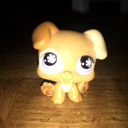 Authentic lps petshop 760 - petshop,