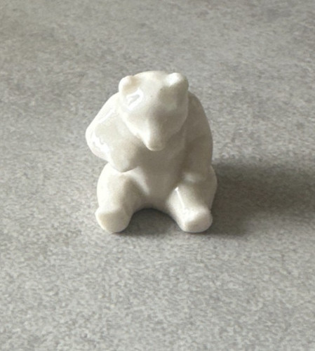 Feve ours blanc - feve,