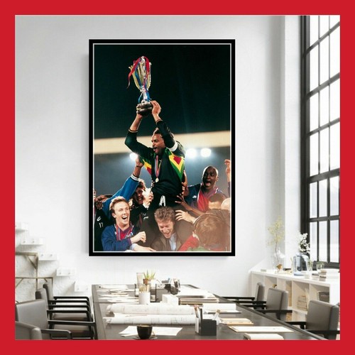 Toile poster photo finale - poster,