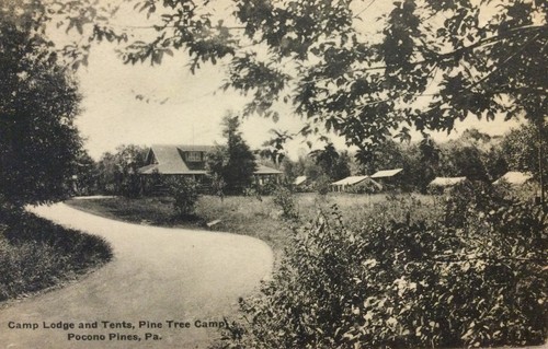 Vtg post card pine - post,