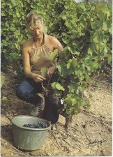 CARTE POSTALE ANCIENNE