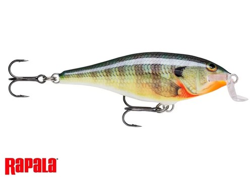 Poisson nageur rapala shallow - nageur,