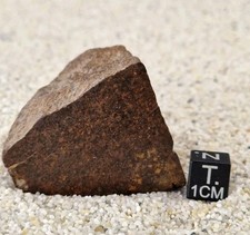 Meteorite NWA 17780 Chondrite