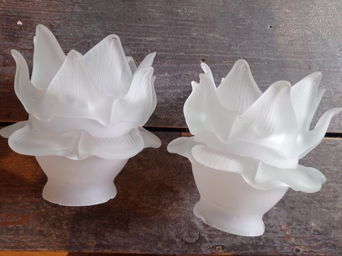 Paire tulipes anciennes pate - paire,