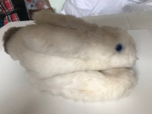 Marionnette main lapin - a,