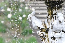 Objectif Nikon Ai-s Ais Nikkor 105 mm F/2,5 #5436 MF Telephoto Prime testé ! ...