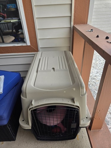 Petmate vari dog kennel - petmate,