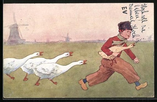 Carte postale les - les, oies