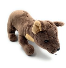 Marder Baummarder Edelmarder