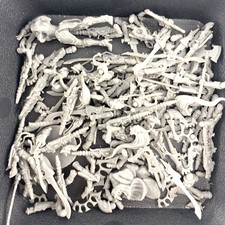 x1 Rabiot Plastique Warhammer 40K | P-00ENB