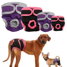 Culotte Physiologique Hygiénique Pour Chienne De Compagnie Short Pour Chiot  /