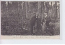 LANDES: chasse à la palombe