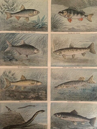 Petit journal manufrance - petit,