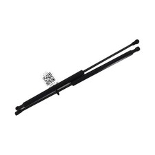 Paire verins coffre hayon