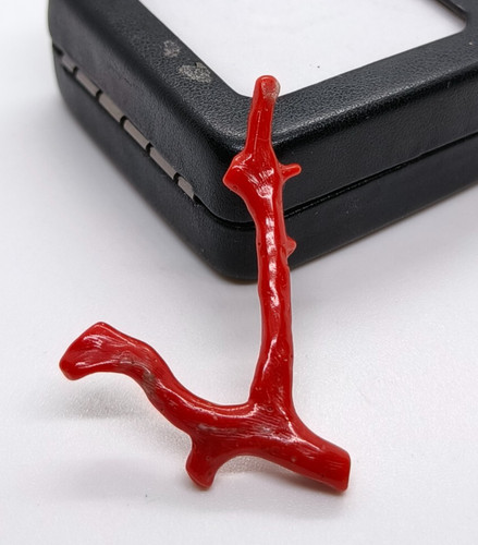 Branche lâche corail rouge - de,