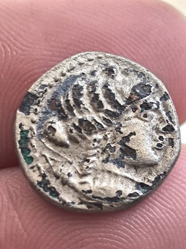 Obola massalia lion fourré - au,