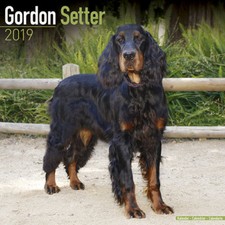 Calendrier 2019 - SETTER