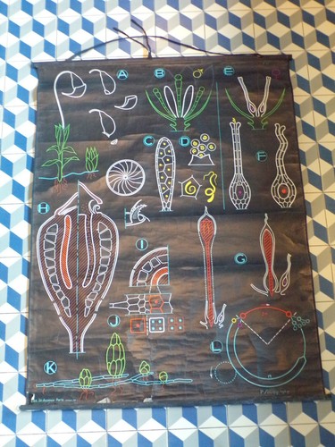 Ancien affiche scolaire - affiche,