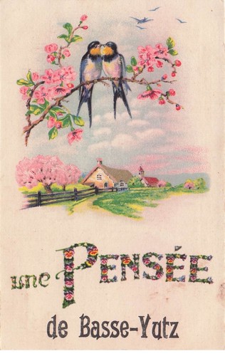 Moselle basse yutz une - yutz,