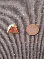 PIN'S PINS BADGE ENM EDF MONTLUC