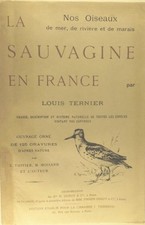 Nos oiseaux de mer, de