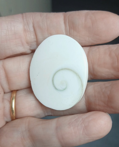 œil shiva naturel poli - de,
